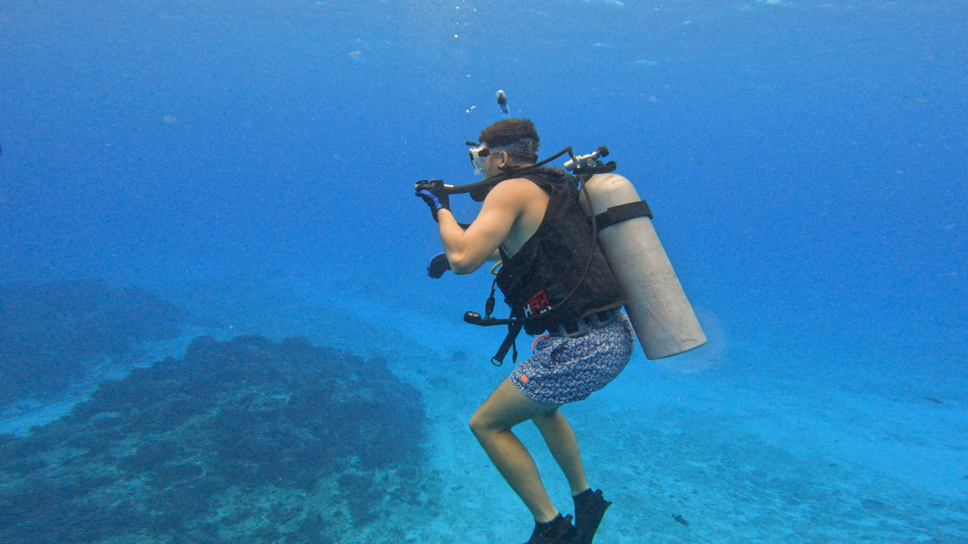 Westley diving above a reef